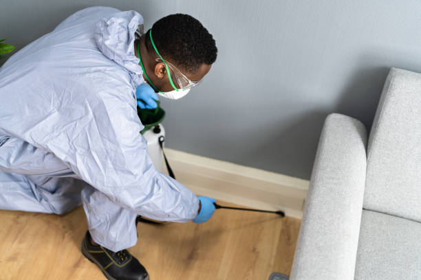 Real Estate Pest Inspections in Chanute, KS